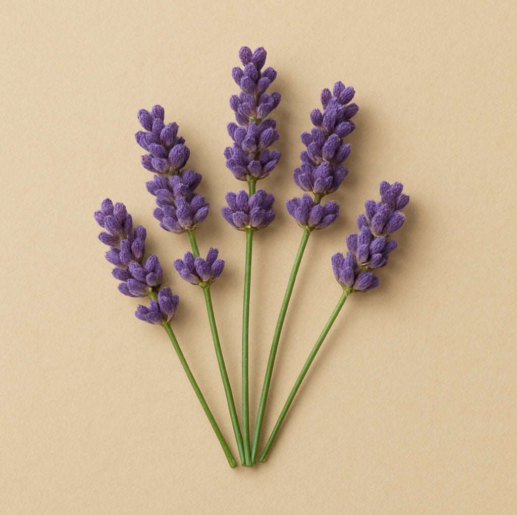 Melts de Lavanda